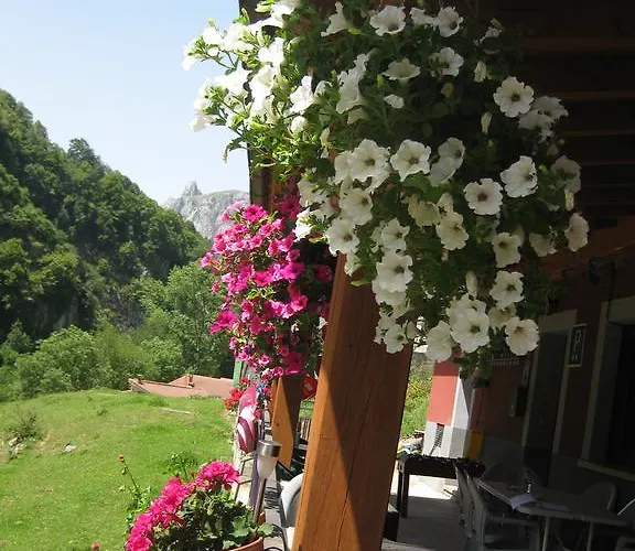 El Duje Pensión Tielve